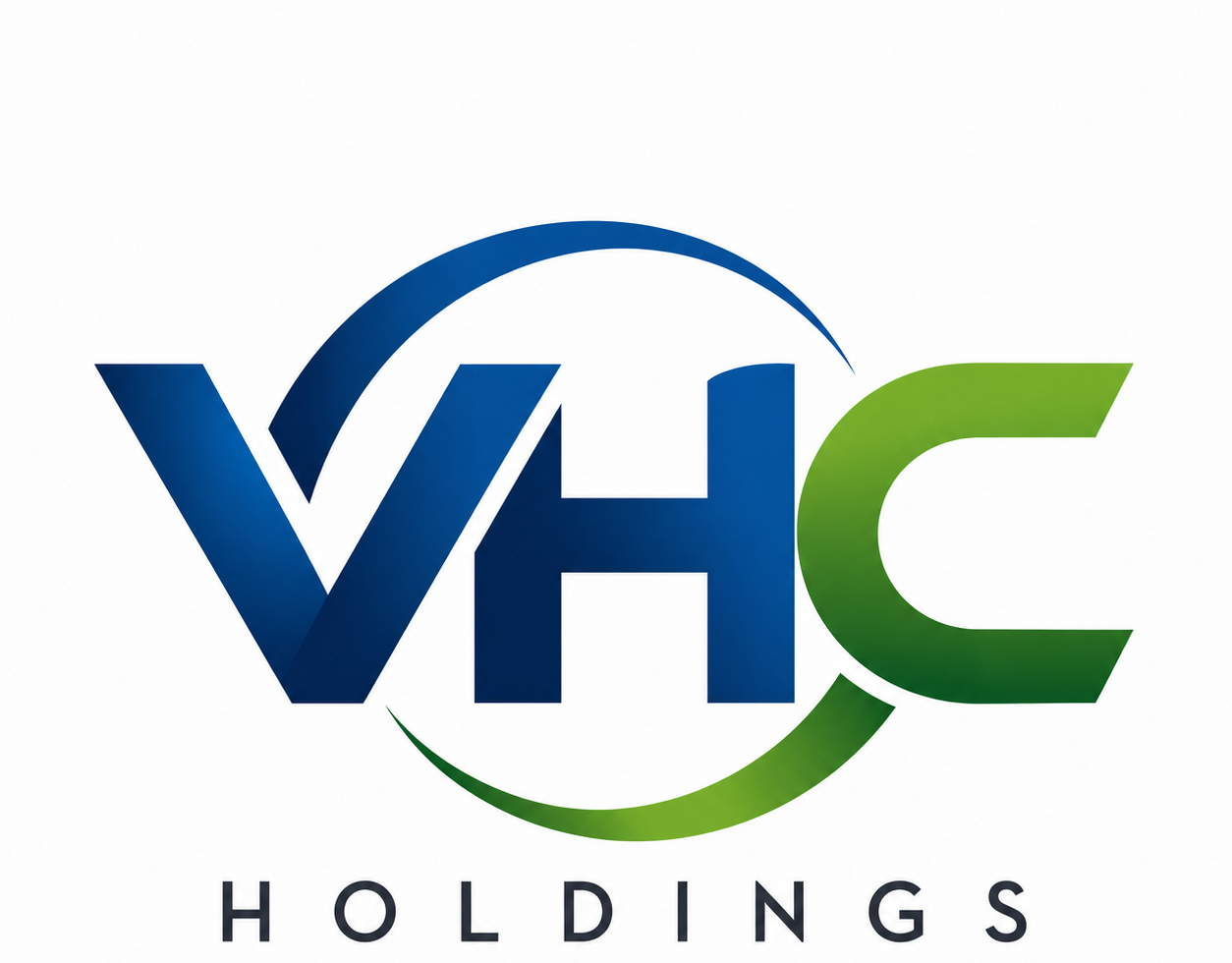 VHC Holdings